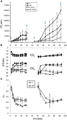 Response of Methanogenic Microbial Communities to Desiccation Stress in Flooded and Rain-Fed Paddy Soil from Thailand